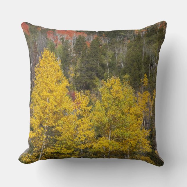 Coussin Rivière Provo et trembles (Recto)