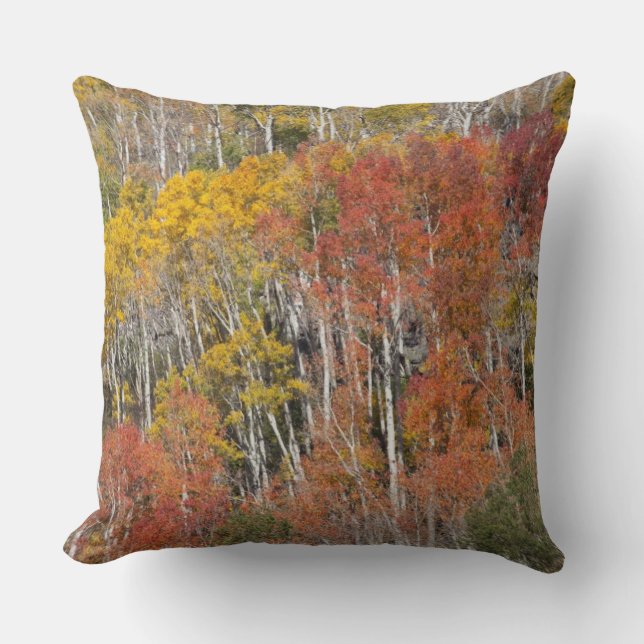 Coussin Rivière Provo et trembles (Recto)
