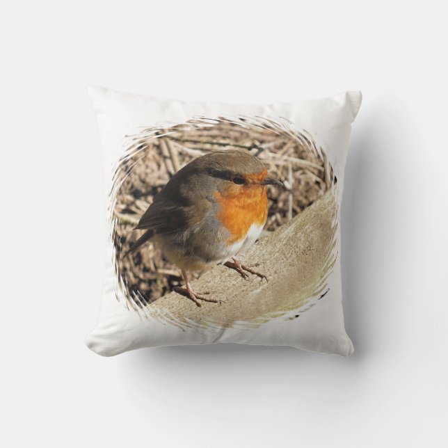COUSSIN ROBIN (Recto)