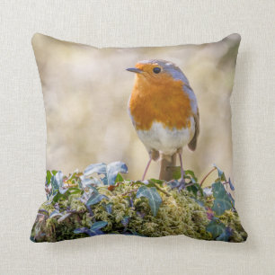 Coussin Robin avec deux belles photos