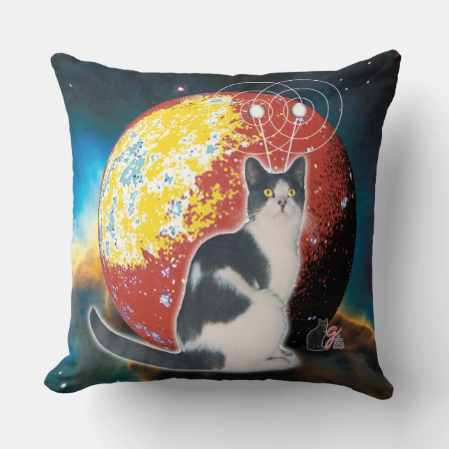 Coussin Robo-Cat Hobo (Recto)