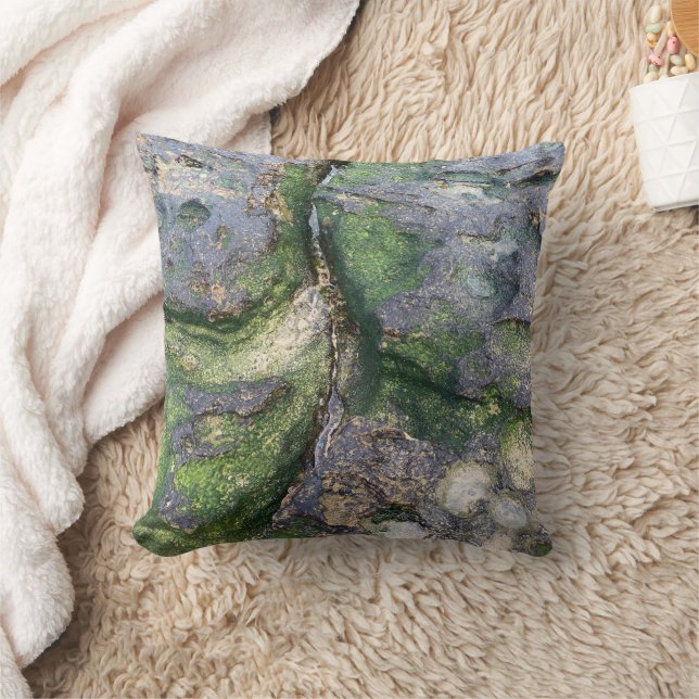 Coussin Rochers de la plage moussue vert jade de Toowoon B (Couverture)