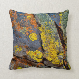 Coussin Roches couvertes de Lichen