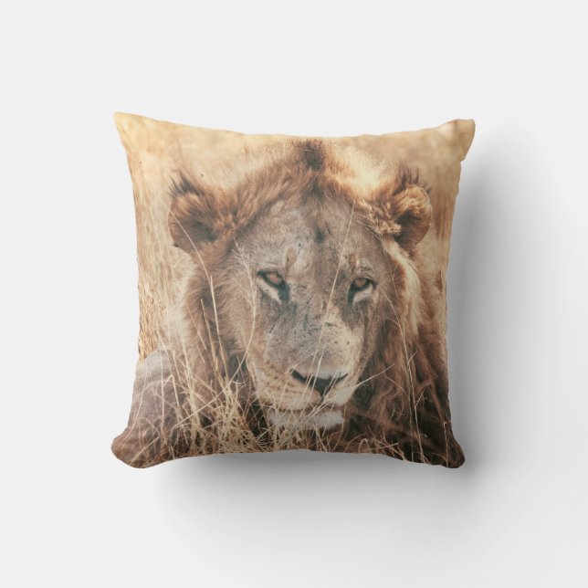COUSSIN ROI LION ROI (Recto)