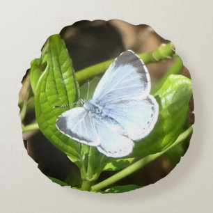 Coussin rond à papillon bleu creux
