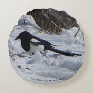 Coussin rond Black Billed Rocky Mountain Magpie