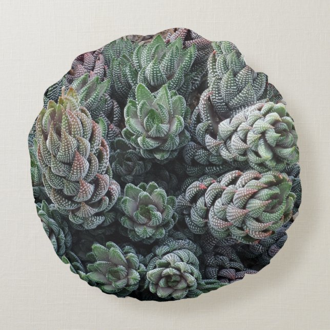 Coussin rond Cactus (Dos)