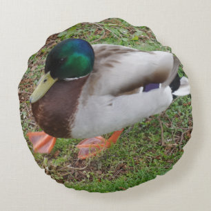 Coussin rond de canard à tête verte