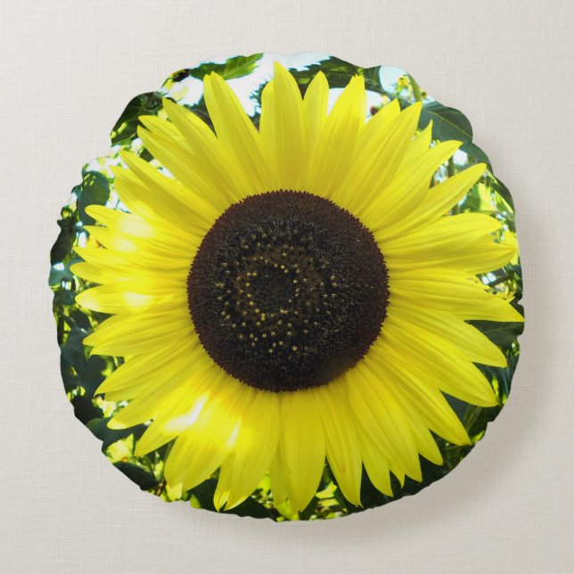 Coussin rond de la sensation de tournesol (Devant)
