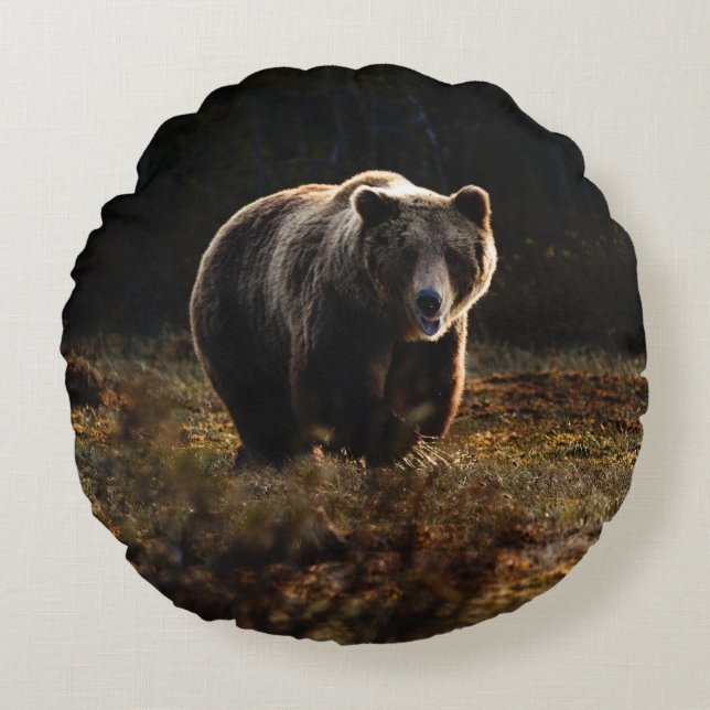 Coussin rond de l'ours (Devant)