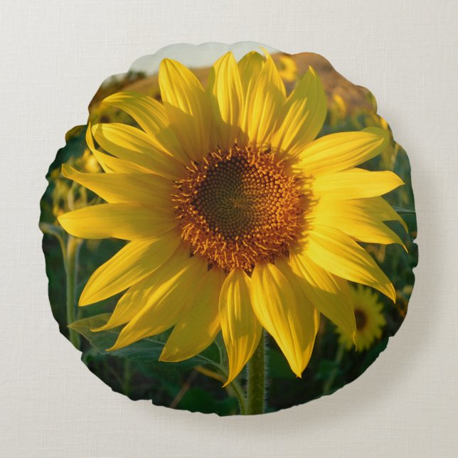 Coussin rond de tournesol d'été (Devant)