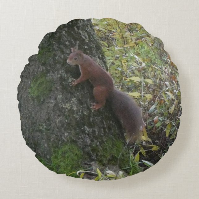 Coussin Rond Écureuil Mignon sur Tronc d'Arbre (Devant)