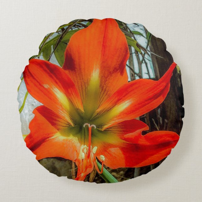 Coussin Rond Gros Plan d'Amaryllis  (Devant)