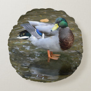 Coussin rond Male Mallard Duck
