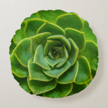 Coussin rond succulent d'Echeveria