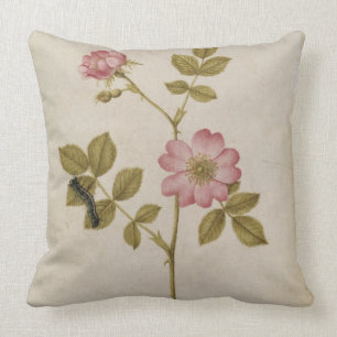 Coussin Rosa Canina - Dogrose et Caterpillar (crayon et