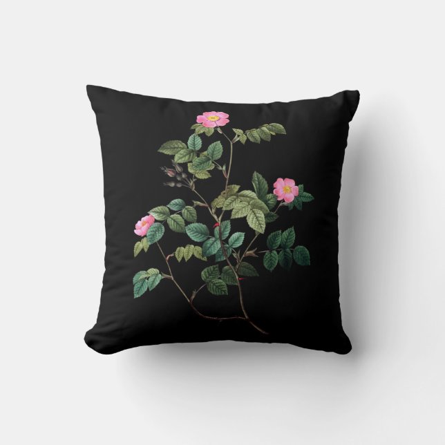 Coussin Rosa Rubiginosa (Recto)