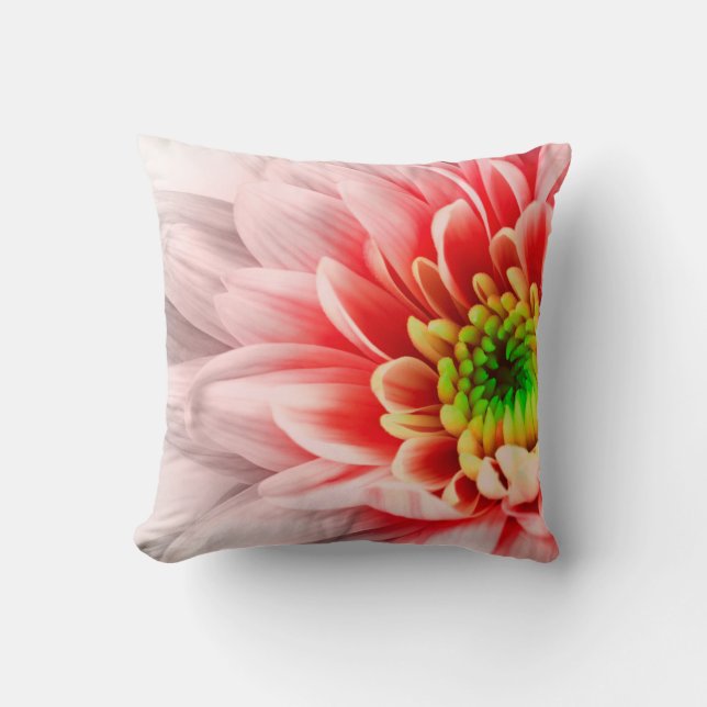 Coussin rose (Recto)