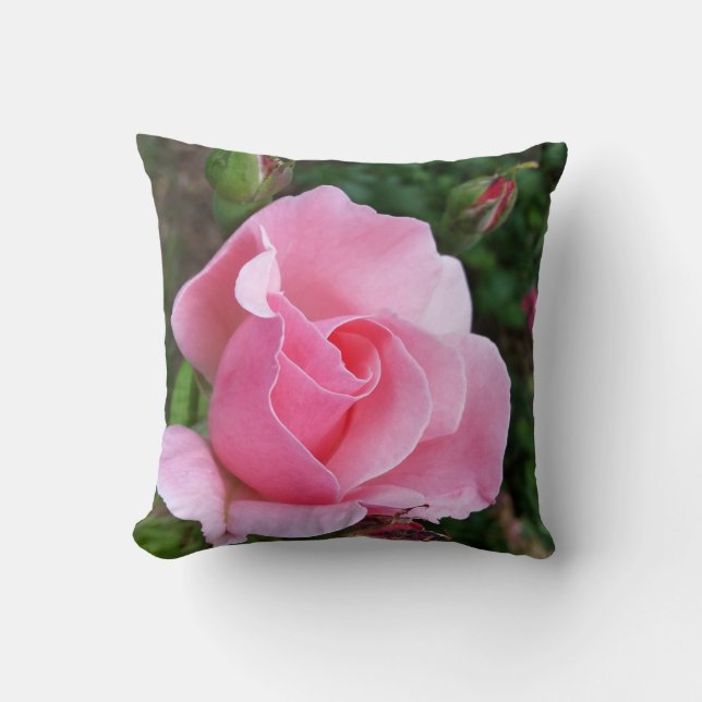 Coussin rose (Recto)
