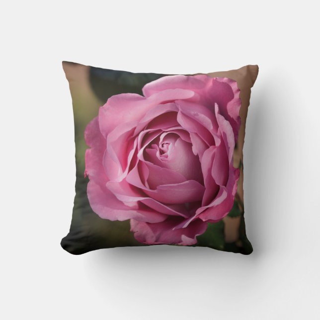Coussin Rose Angel Face (Recto)