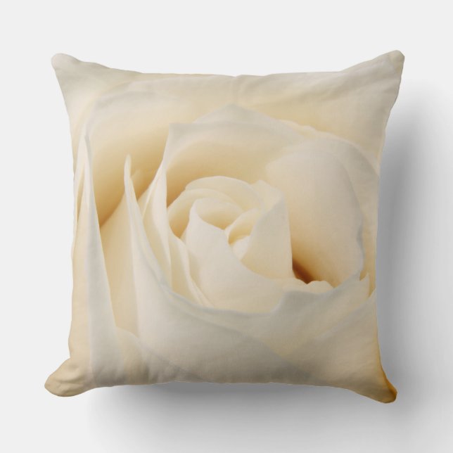 Coussin Rose blanche molle (Recto)