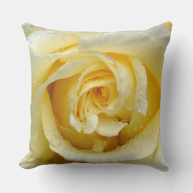 Coussin Rose couleur crème (Recto)