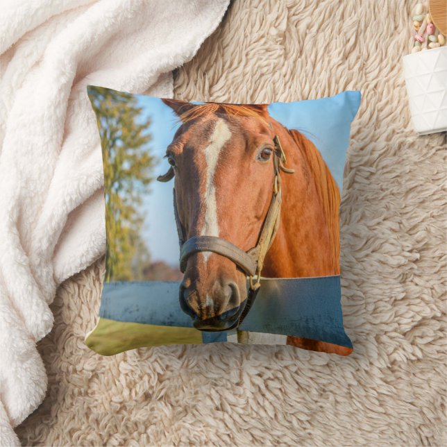 Coussin Rose Crépuscule | Cheval de course Pur-sang (Couverture)