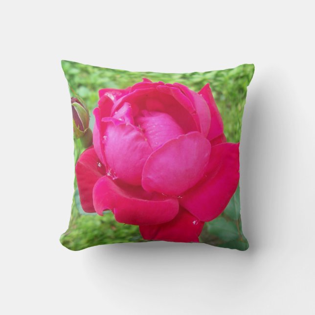 Coussin Rose dans Bloom (Recto)