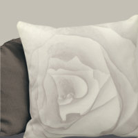Rose de macro artistique | Crème & Taupe