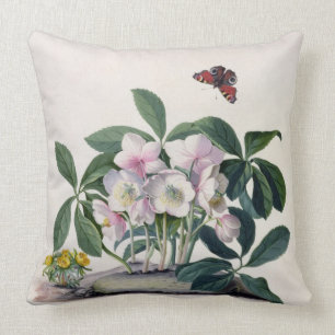 Coussin Rose de Noël (Helleborus Niger) et hiver Aconi