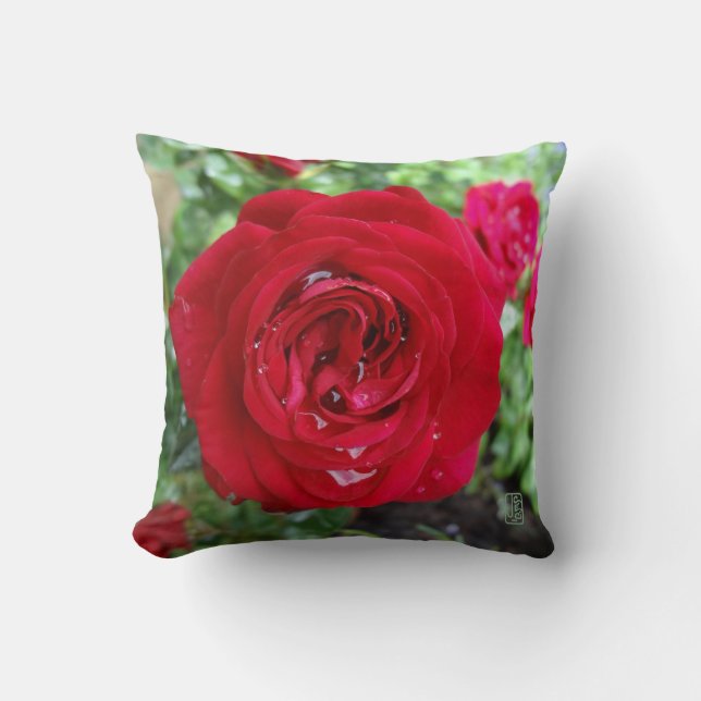 Coussin Rose de thé 16 po x 16 po (Recto)