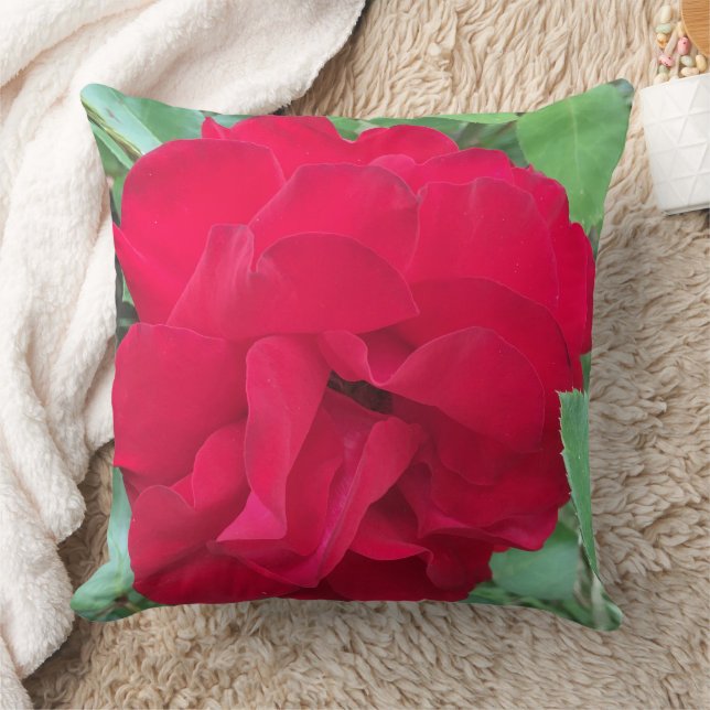 Coussin Rose délicate en photo (Couverture)