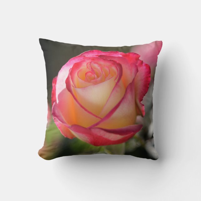 Coussin Rose Double Delight (Recto)