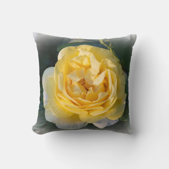 Coussin Rose ensoleillé (Recto)