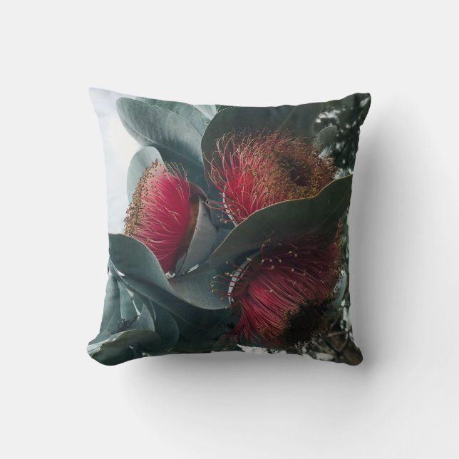 Coussin Rose Eucalyptus Mallee (Recto)