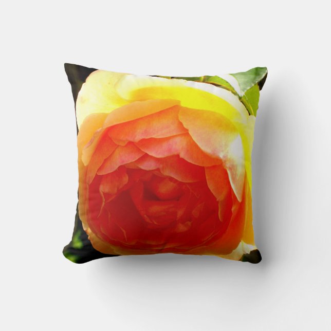 Coussin Rose jaune (Recto)