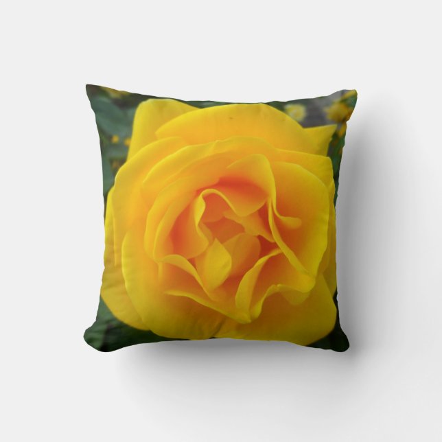 Coussin Rose jaune (Recto)