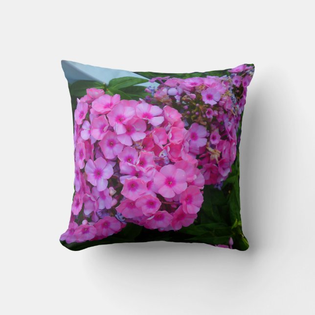 Coussin rose Phlox (Recto)