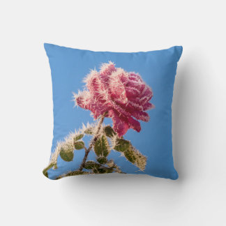 Coussin Rose rose avec givre glacée dans une nature hivern
