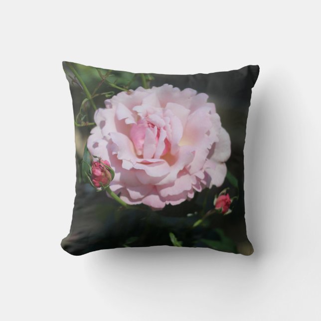 Coussin Rose rose classique Belle photo nature (Recto)