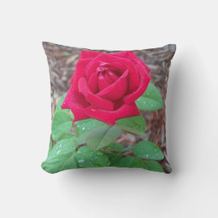 Coussin Rose rouge
