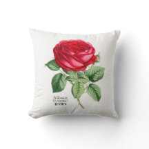 Rose rouge antique Votre choix de texte