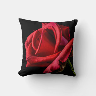 Coussin Rose rouge contre Arrière - plan noir