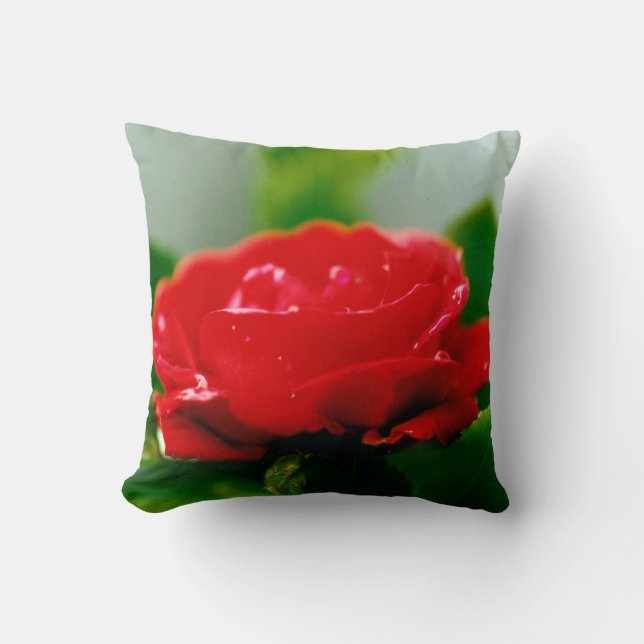 Coussin Rose rouge de la passion couverte de gouttes de ro (Recto)
