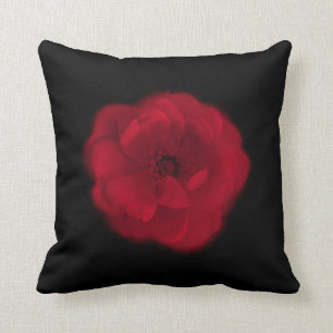 Coussin Rose rouge. Fond noir