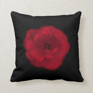 Coussin Rose rouge. Fond noir