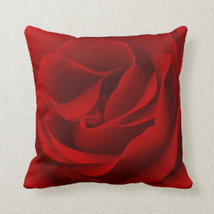 Coussin Rose rouge magnifié