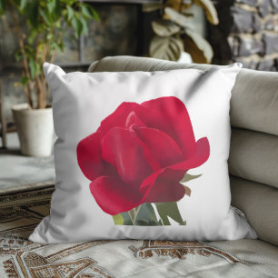 Coussin  Rose rouge - Red rose