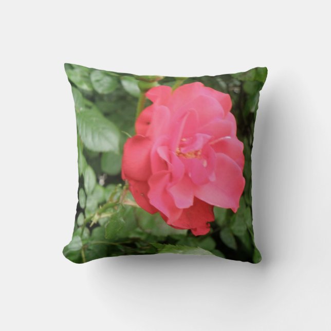 Coussin Rose sauvage (Recto)