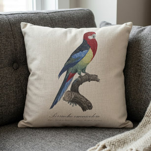 Coussin Rosella orientale ou Perruche à tête pâle Platycer